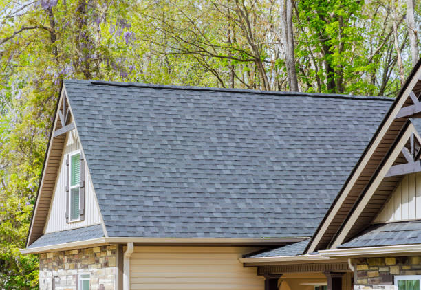 Best Roof Ventilation Installation  in Broadlands, VA